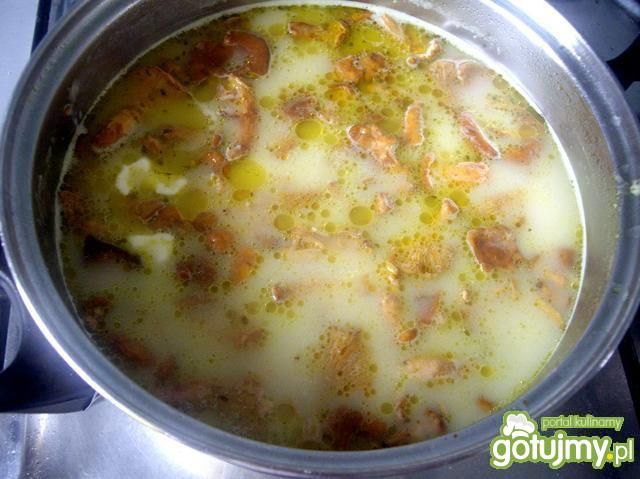 Kremowa zupa z kurek 4