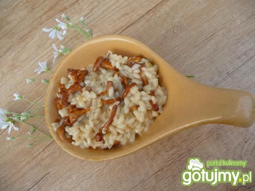 Kremowe risotto z kurkami