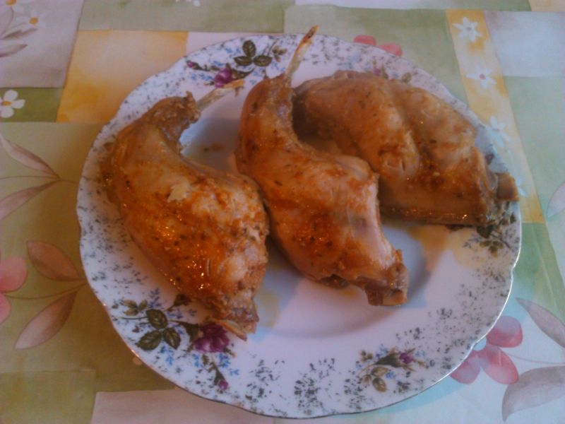 Królik czosnkowo paprykowy 