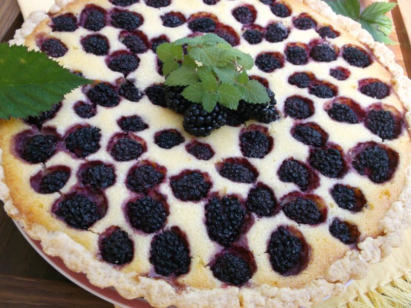 Krucha tarta serowa z jeżynami Krucha tarta serowa z jeżynami
