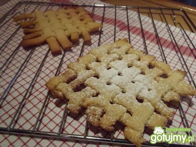 Kruche ciasteczkowe płotki