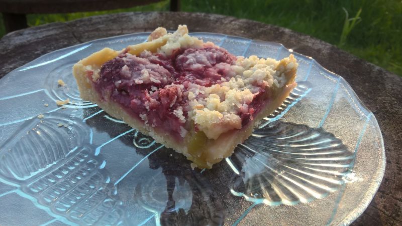 Kruche ciasto z rabarbarem i truskawkami