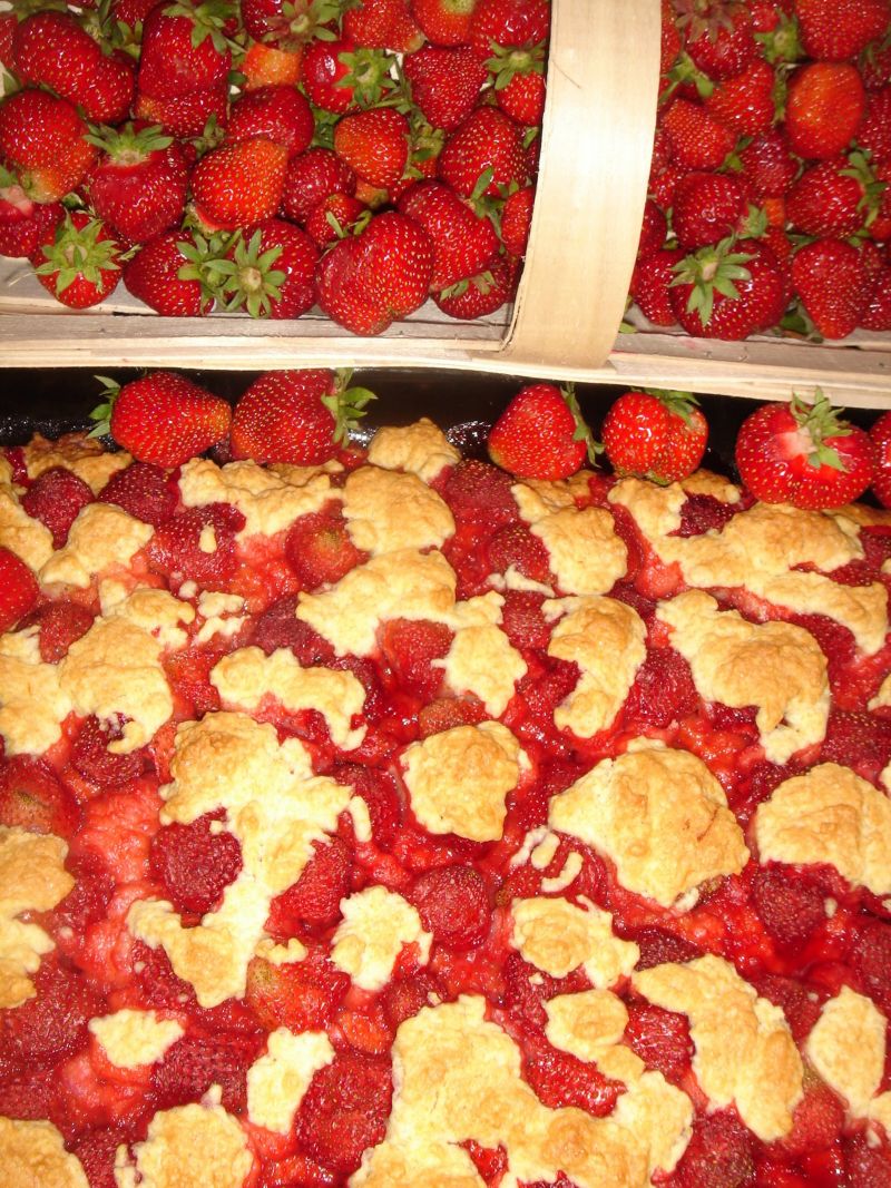 Kruche ciasto z truskawkami Kruche ciasto z truskawkami