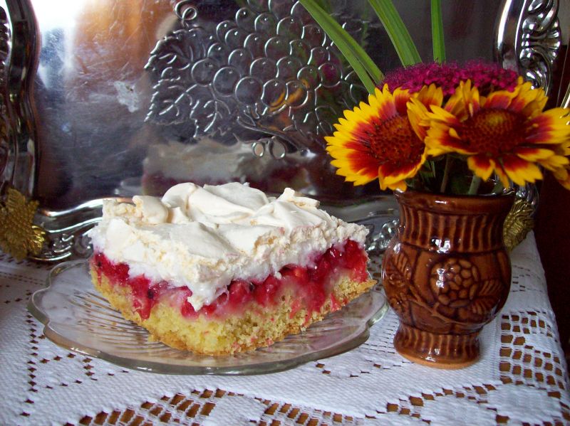 Kruche z porzeczkami 