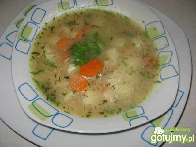 Krupnik cebulowy Krupnik cebulowy