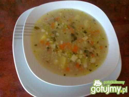 Krupnik domowy Krupnik domowy