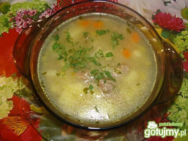 Krupnik Edzi na indyku