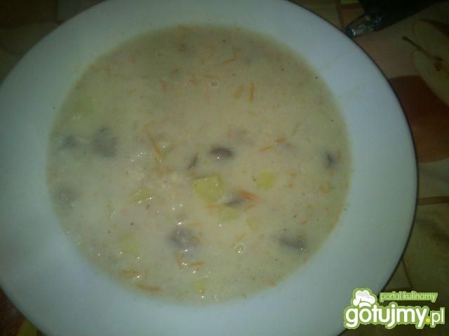 Krupnik na podrobach 4 Krupnik na podrobach 4