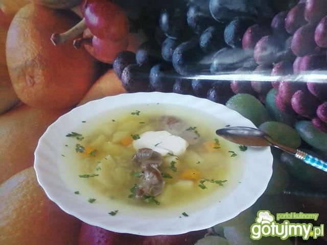 Krupnik na żołądkach drobiowych.