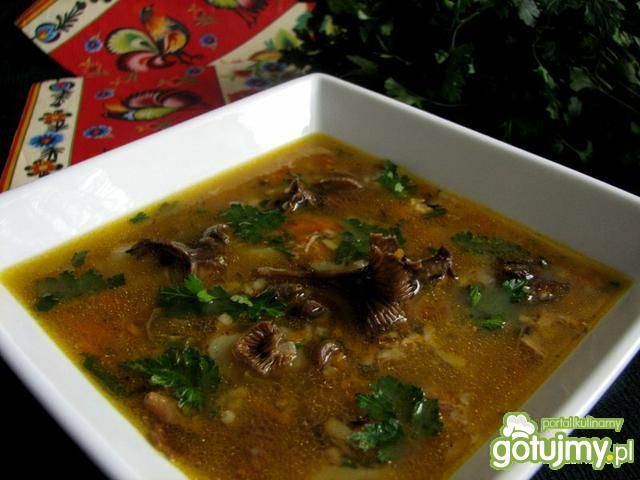 Krupnik z grzybkiem Krupnik z grzybkiem