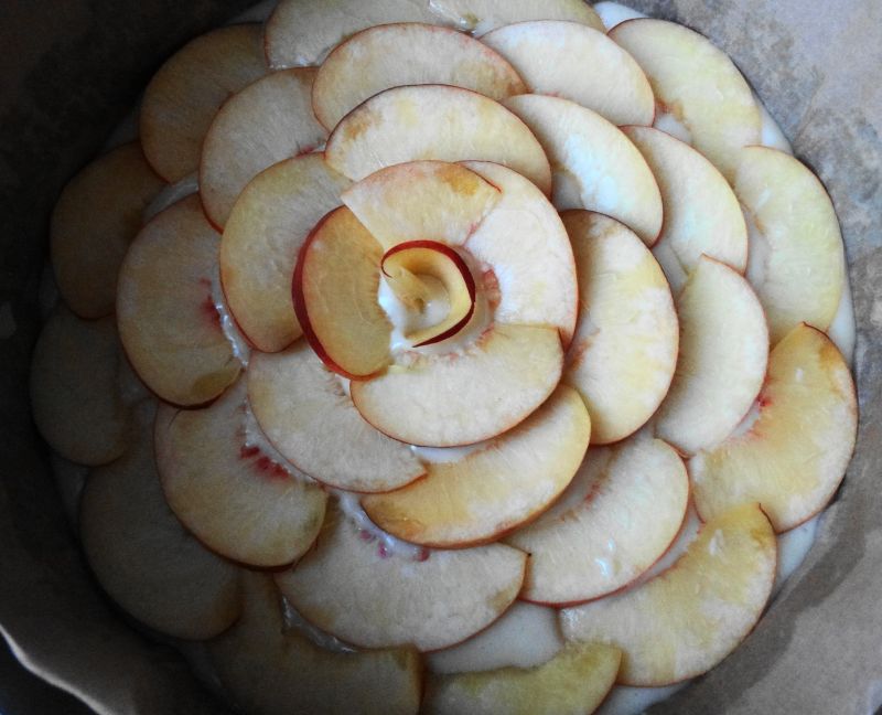 Kubeczkowe Ciasto z Morelami.