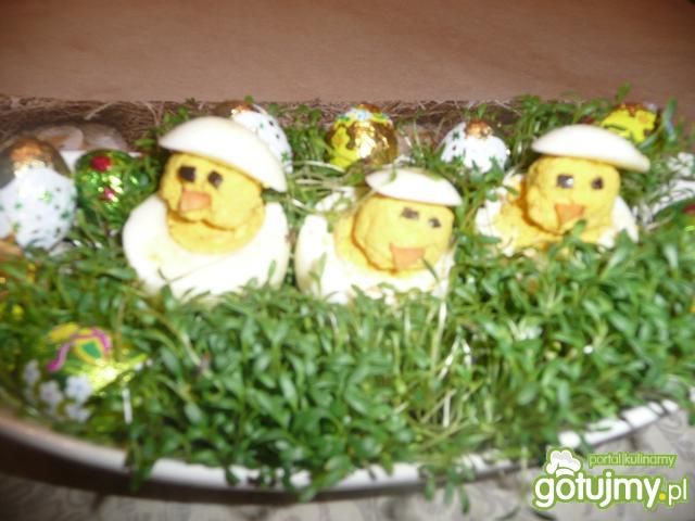 Kurczaczki Kurczaczki