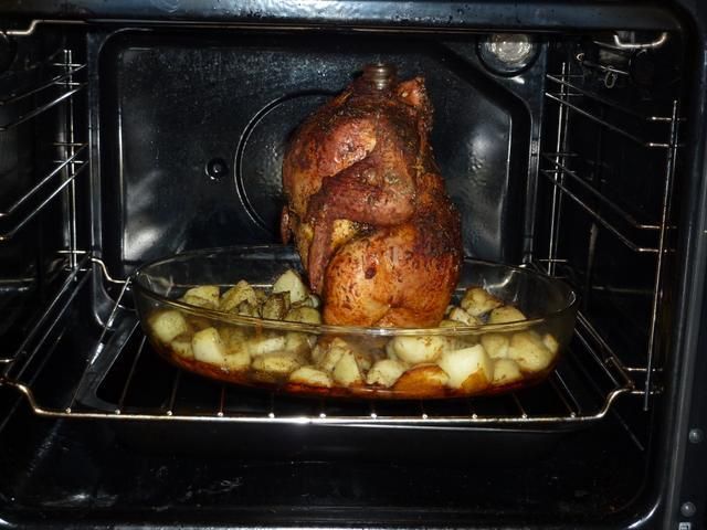 Kurczak na baczność Kurczak na baczność