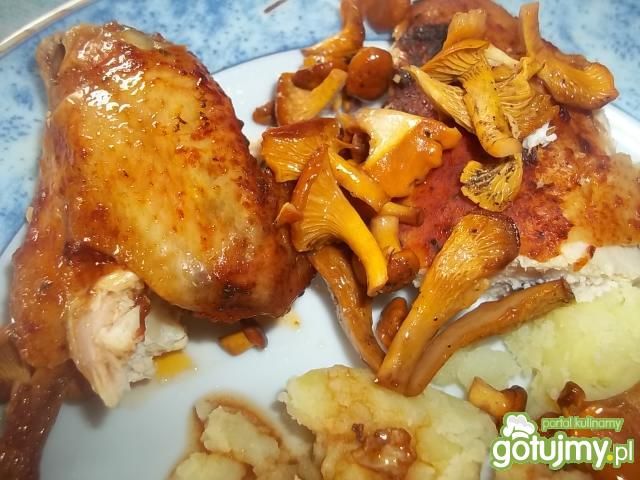 Kurczak podany z kurkami Kurczak podany z kurkami