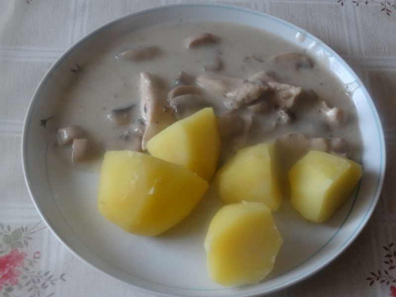 Kurczak w sosie pieczarkowym
