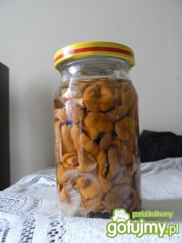 Kurki marynowane 4 Kurki marynowane 4