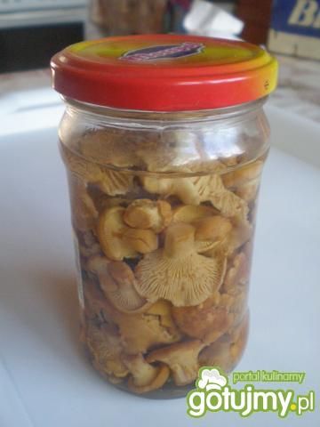 Kurki marynowane Kurki marynowane