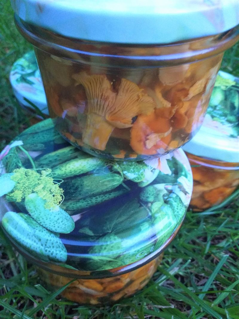 Kurki w marynacie miodowej z nutą curry Kurki w marynacie miodowej z nutą curry