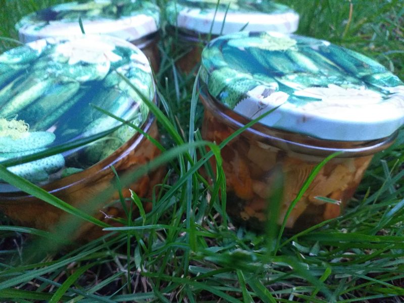 Kurki w marynacie miodowej z nutą curry Kurki w marynacie miodowej z nutą curry