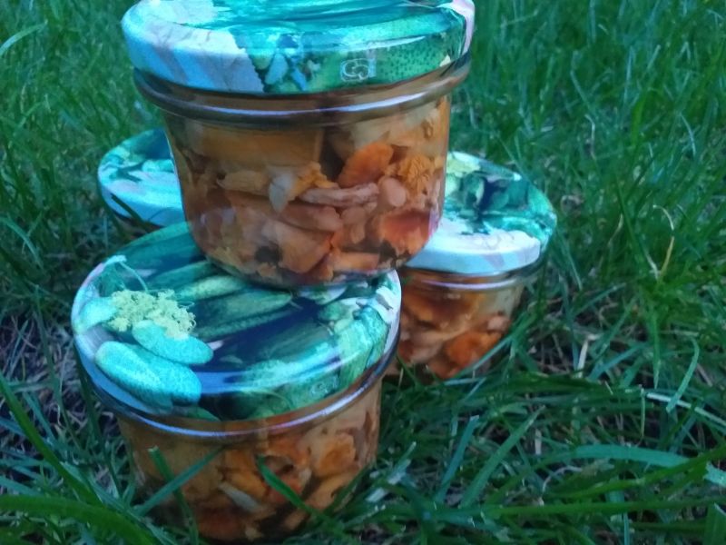 Kurki w marynacie miodowej z nutą curry Kurki w marynacie miodowej z nutą curry