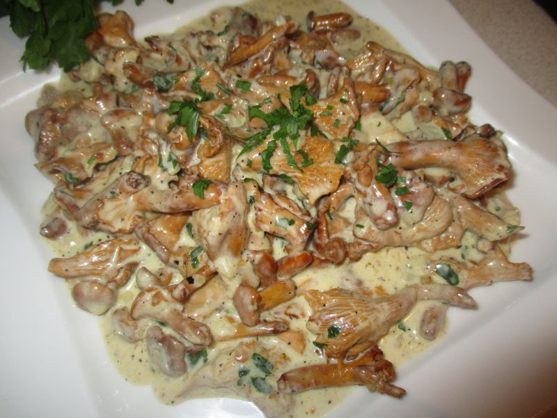 Kurki w śmietanie z ziołami prowansalskimi