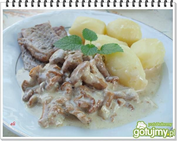 Kurki w sosie śmietanowym Eli Kurki w sosie śmietanowym Eli