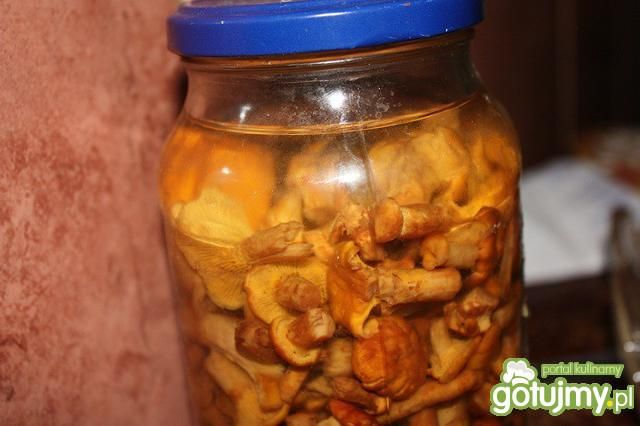 kurki z imbirem kurki z imbirem