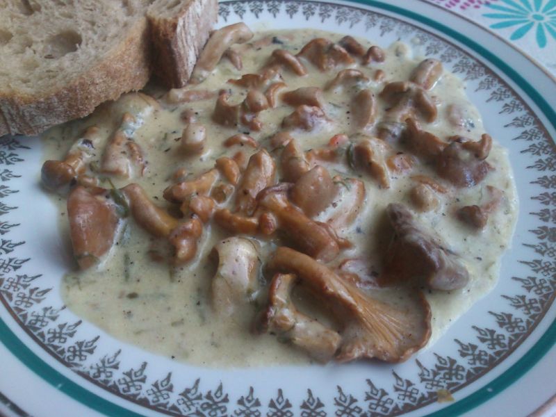 Kurki z turówką wonną