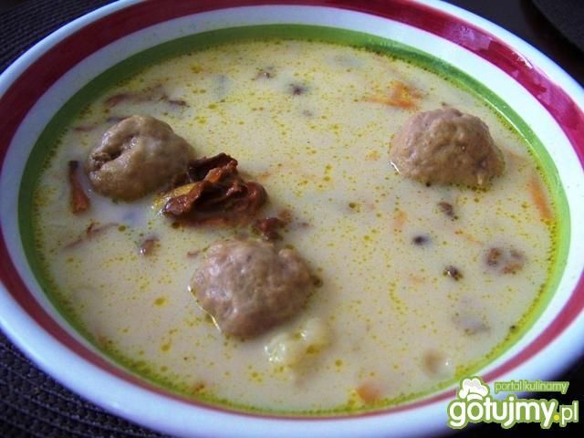 Kurkowo-borowikowa z pulpecikami Kurkowo-borowikowa z pulpecikami