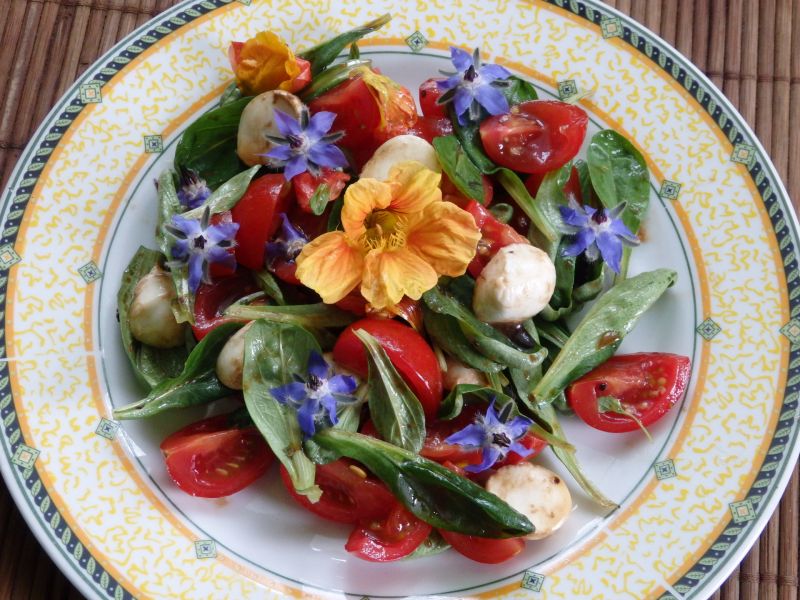 Kwitnąca sałatka z mozzarellą i pomidorkami