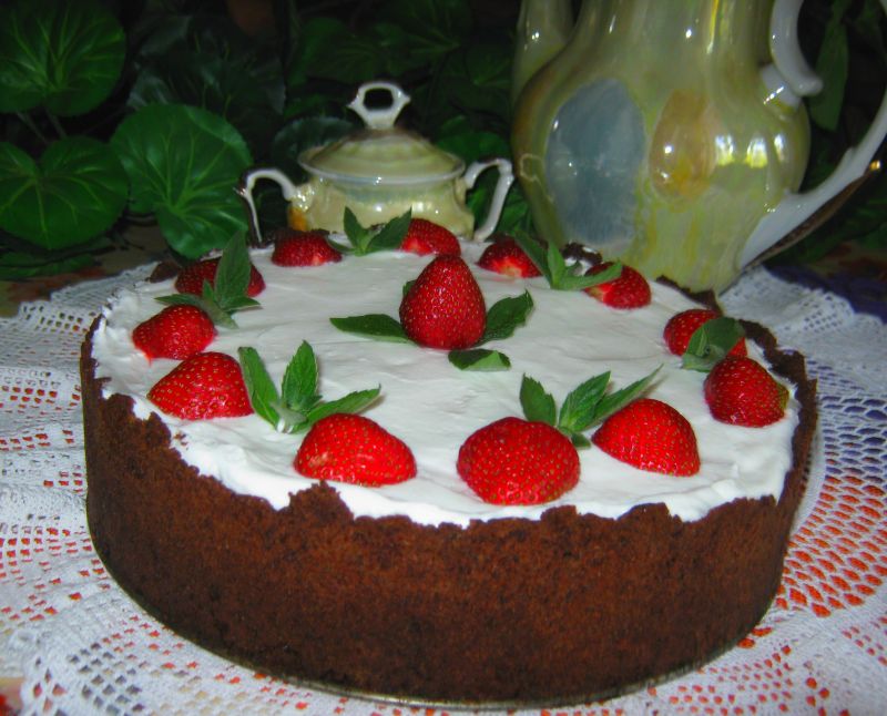 Łaciaty torcik serowo budyniowy Łaciaty torcik serowo budyniowy