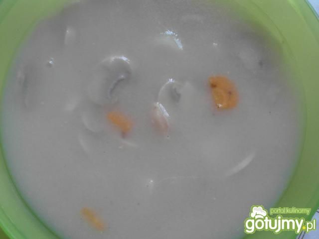 Łagodna zupa pieczarkowa Łagodna zupa pieczarkowa