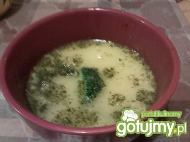 lekka kremowa zupa brokułowa  lekka kremowa zupa brokułowa