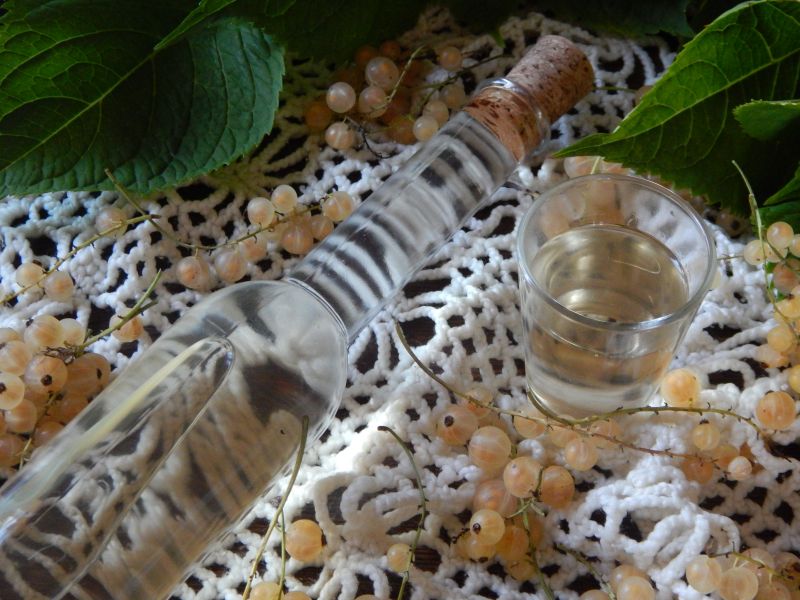 Lekka nalewka z białej porzeczki