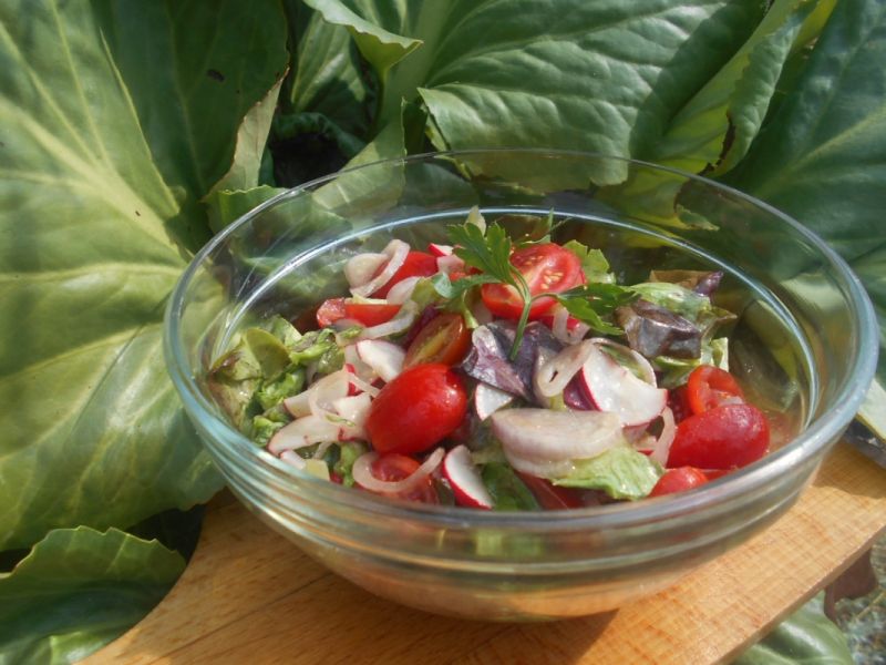 Lekka sałatka do obiadu