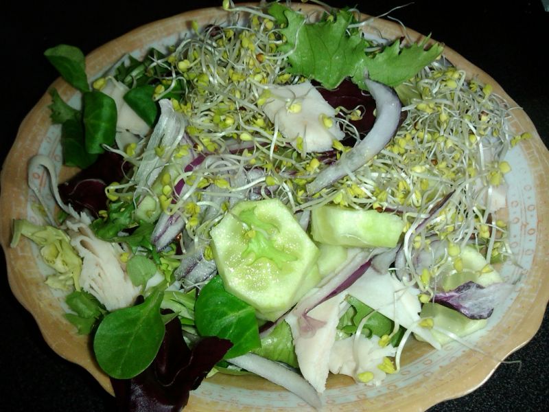 Lekka sałatka z kiełkami  Lekka sałatka z kiełkami