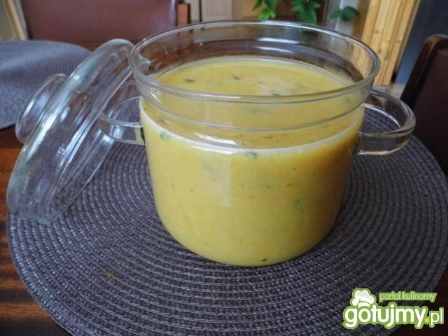 Lekka zupa warzywna  Lekka zupa warzywna