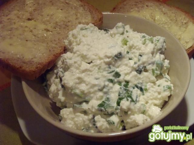 Lekki twarożek z zieloną cebulką Lekki twarożek z zieloną cebulką