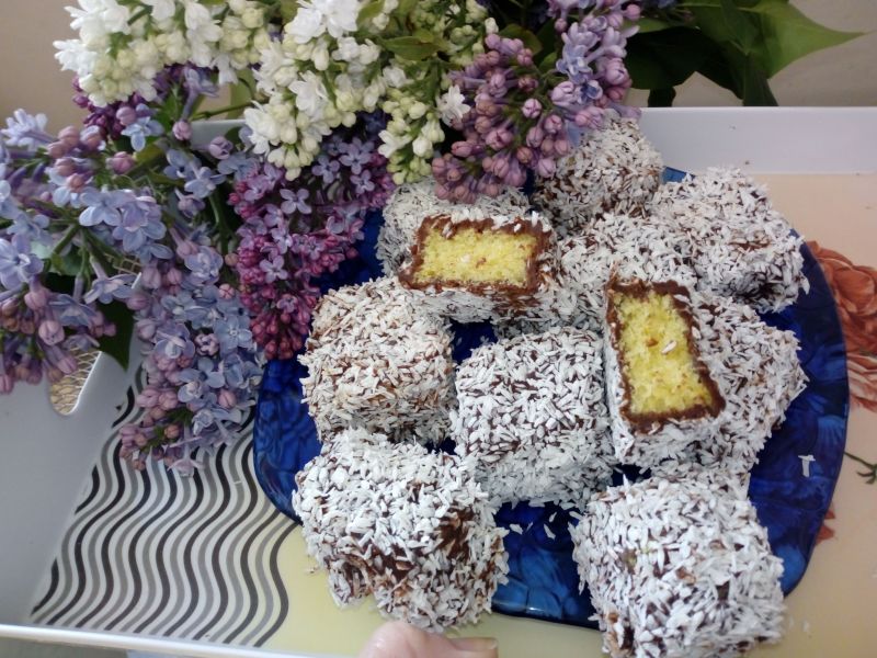 Lemingtony/kokoski Lemingtony/kokoski