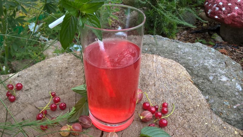 Lemoniada agrestowo-porzeczkowa Lemoniada agrestowo-porzeczkowa