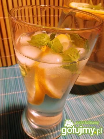 Lemoniada cytrynowo miętowa Lemoniada cytrynowo miętowa