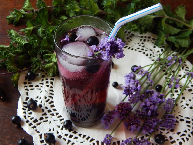 Lemoniada porzeczkowa z lawędą Lemoniada porzeczkowa z lawędą