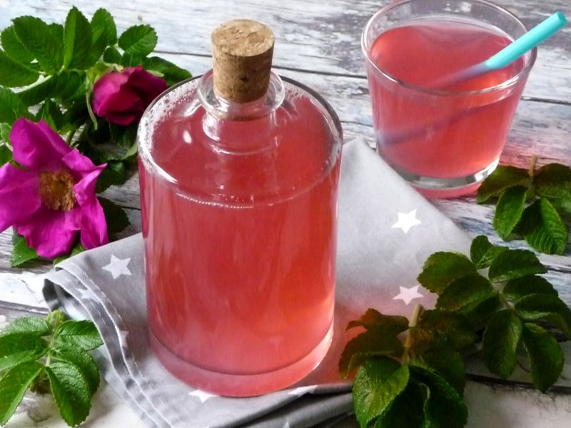 Lemoniada różana Lemoniada różana
