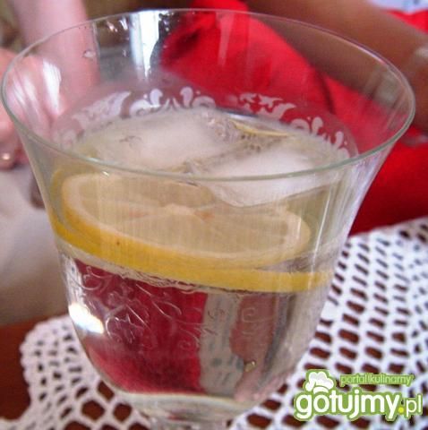 Lemoniada z Vermouthem  Lemoniada z Vermouthem