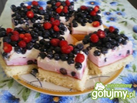 Leśne ciasto  Leśne ciasto