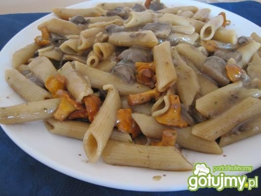 Leśne grzyby z penne i sosem grzybowym