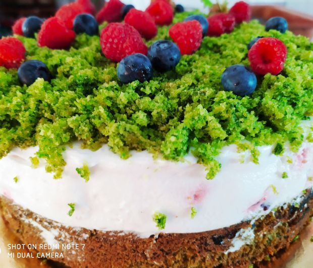 Leśny mech z malinami