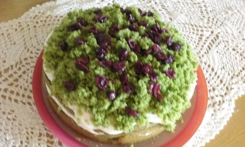 Leśny mech z żurawiną Leśny mech z żurawiną