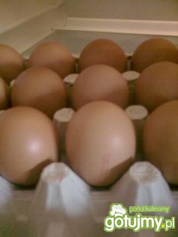 Letni obiad odsłona III Letni obiad odsłona III