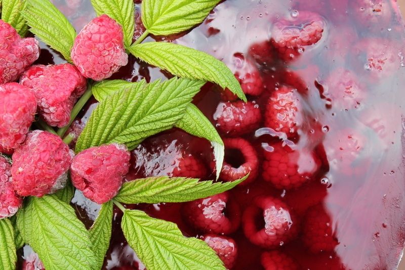 Letni tort "Malinka" 